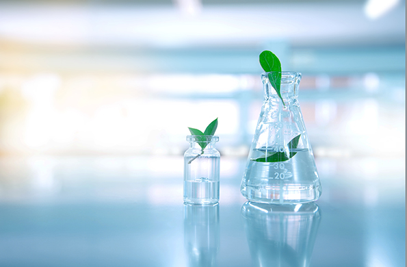 Environmental Performance